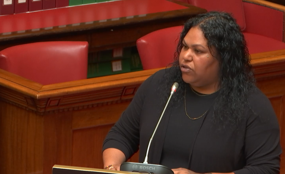 Image of Danni Smith talking to Parliament